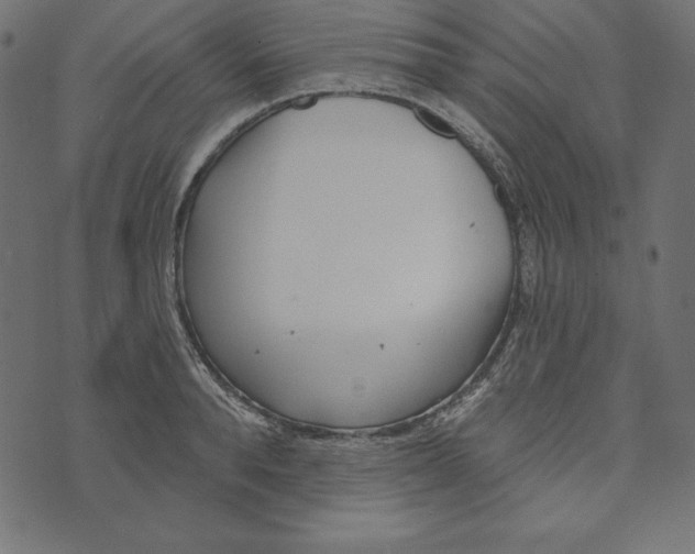 X0000072940896200608181338