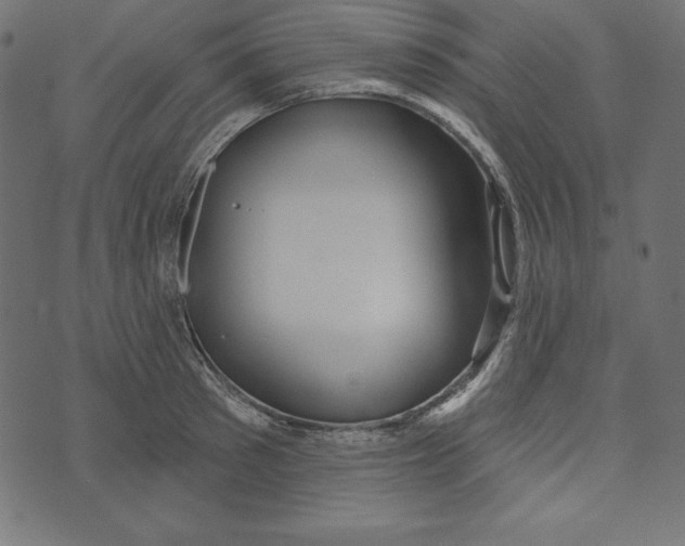 X0000072940897200608181338