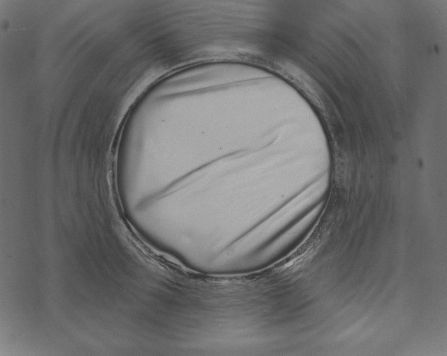 X0000072940899200608181338