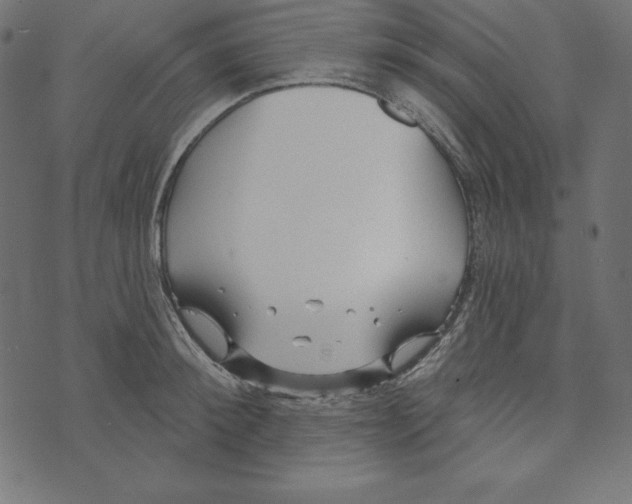 X0000072940900200608181338