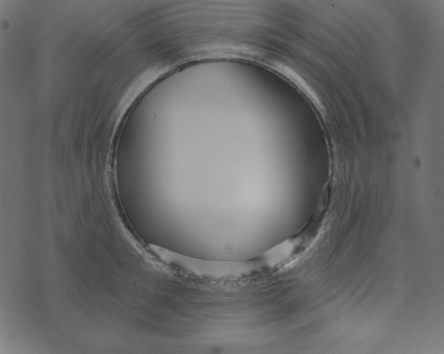 X0000072940901200608181338