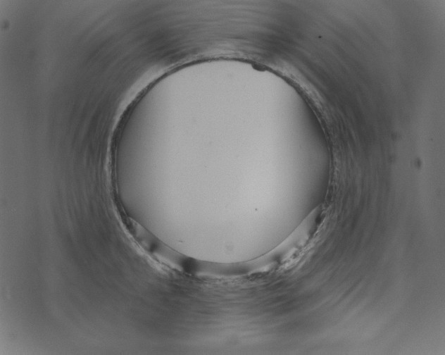 X0000072940902200608181338