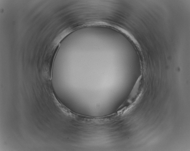 X0000072940905200608181338