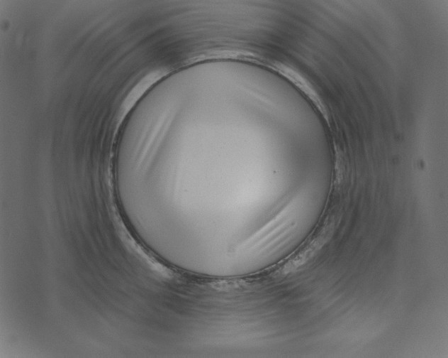 X0000072940906200608181338