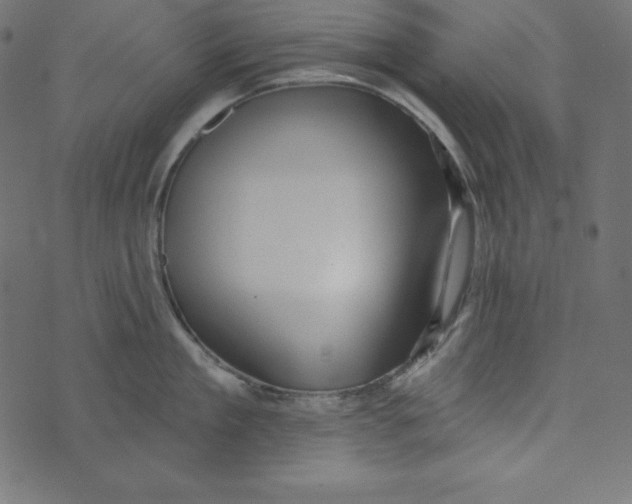 X0000072940909200608181338