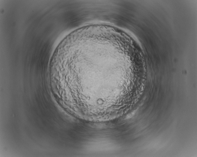 X0000072940911200608181338