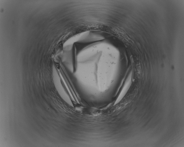 X0000072940916200608181337