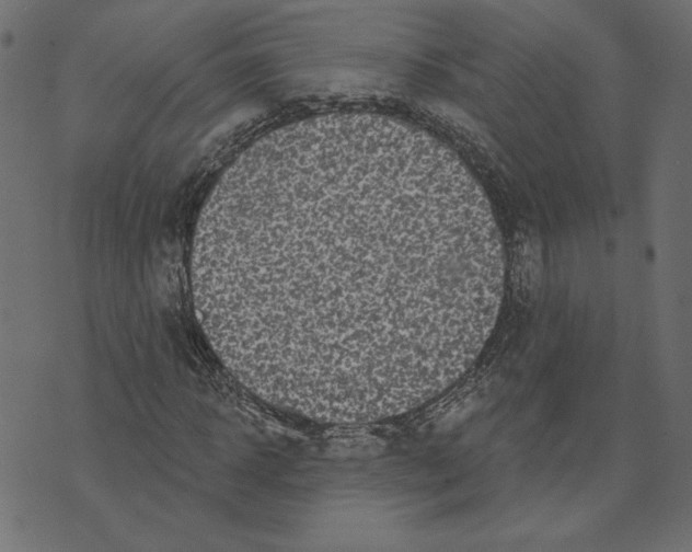 X0000072940918200608181337