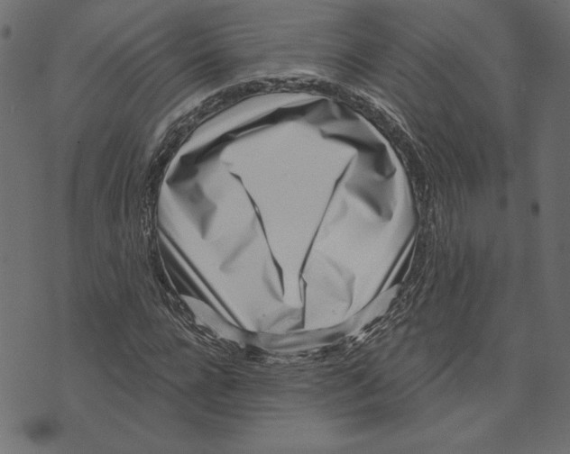 X0000072940920200608181337