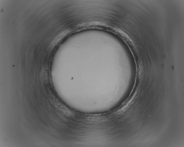 X0000072940921200608181337