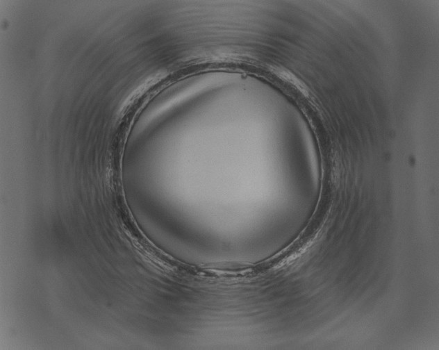 X0000072940922200608181337