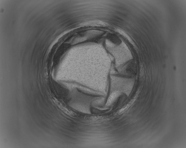 X0000072940923200608181337