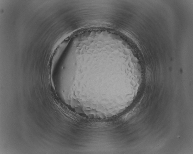 X0000072940925200608181337