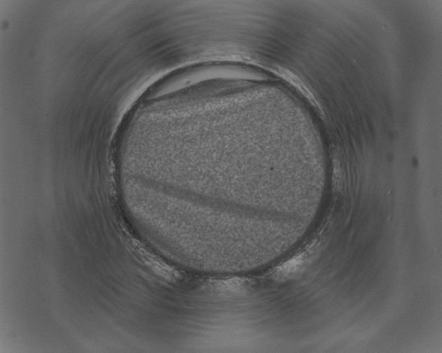 X0000072940926200608181337