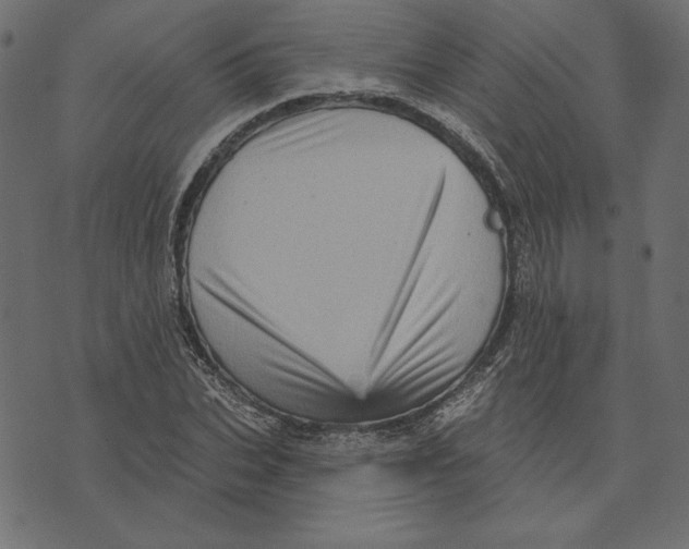 X0000072940927200608181337