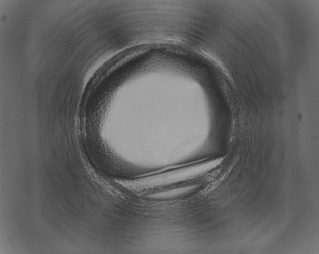 X0000072940928200608181337