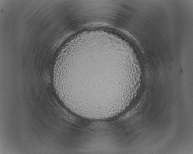 X0000072940929200608181337