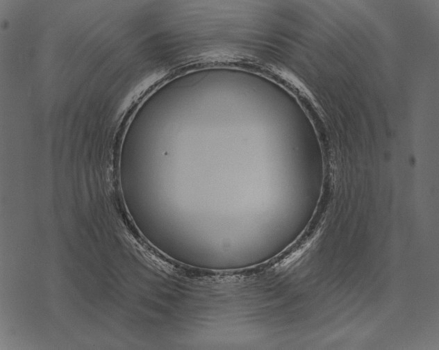 X0000072940930200608181337