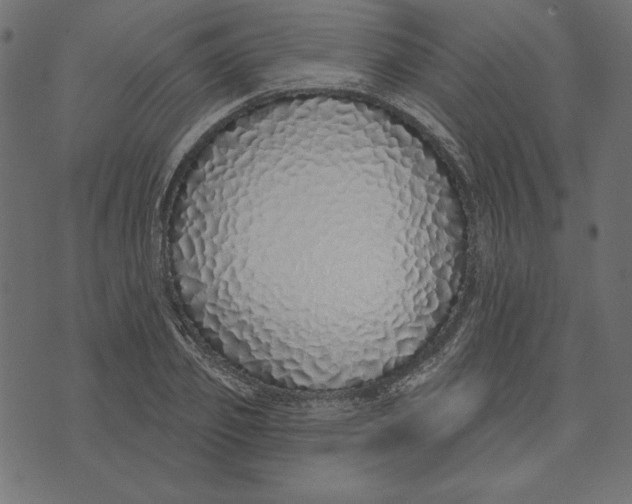 X0000072940933200608181337