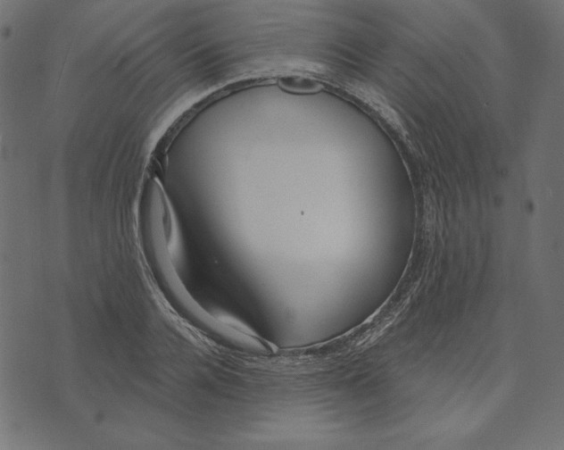 X0000072940936200608181337