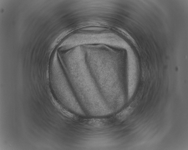 X0000072940938200608181337