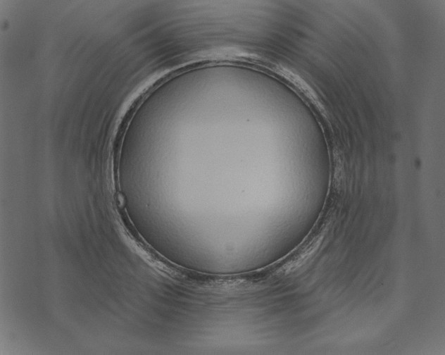 X0000072940939200608181337