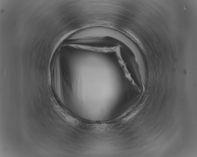 X0000072940940200608181337