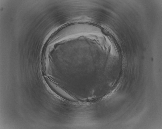 X0000072940941200608181337