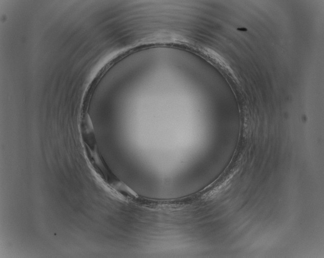 X0000072940942200608181337