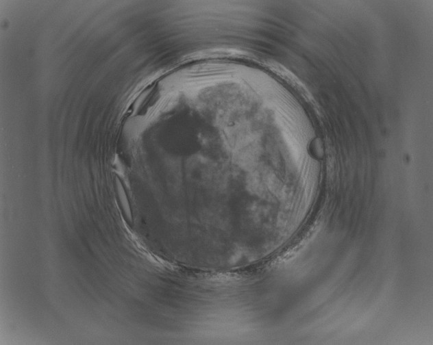 X0000072940945200608181337