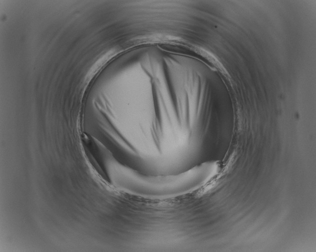 X0000072940946200608181337