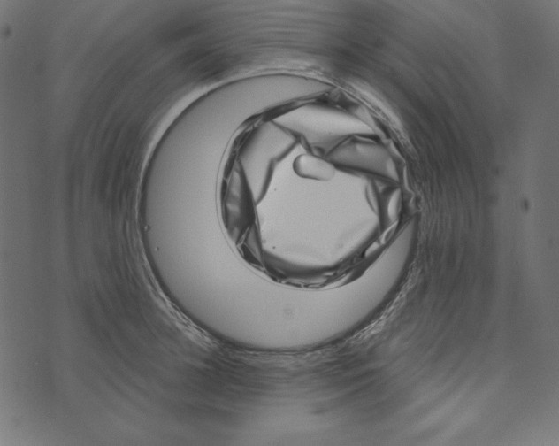 X0000072940948200608181337