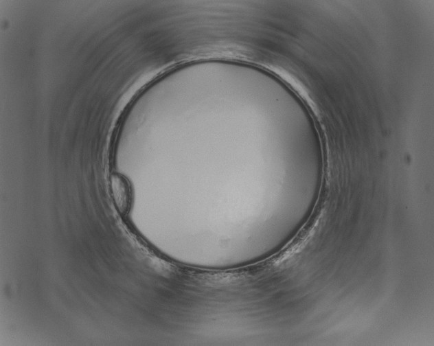 X0000072940949200608181338