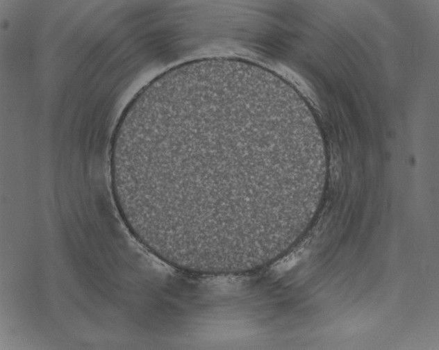 X0000072940950200608181338