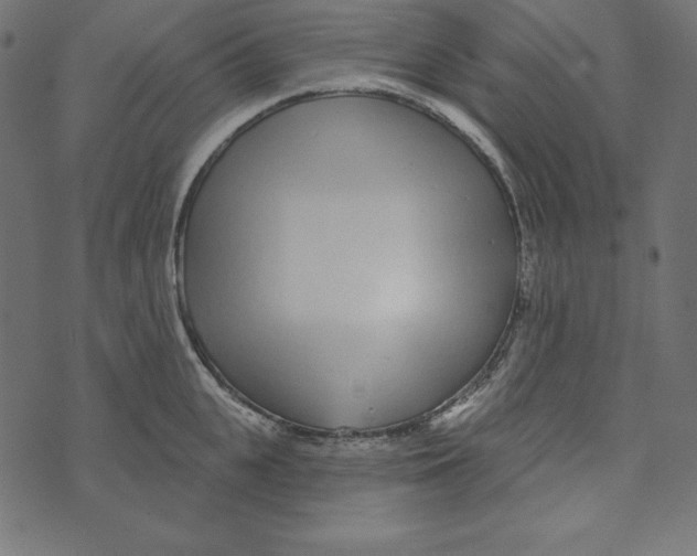 X0000072940951200608181338