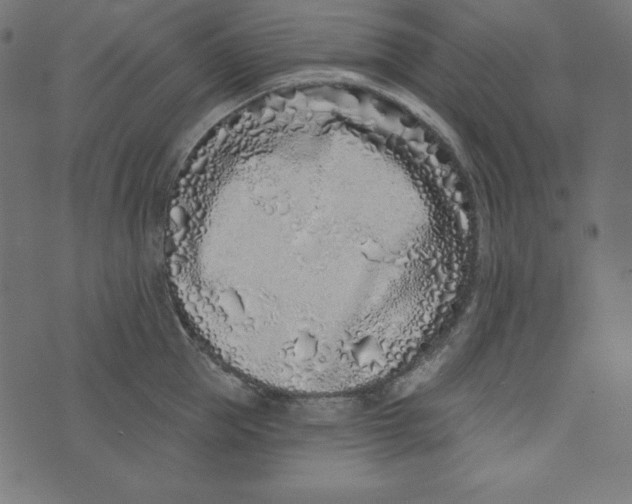 X0000072940953200608181338