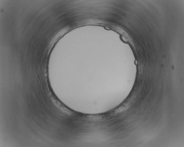 X0000072940954200608181338