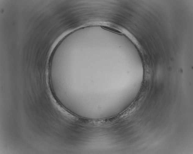 X0000072940955200608181338