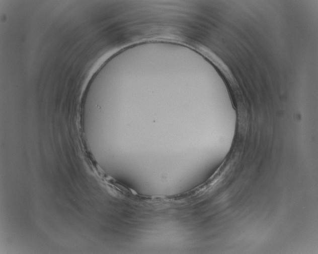 X0000072940956200608181338