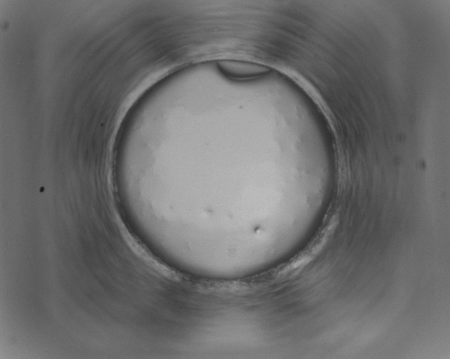 X0000072940957200608181338