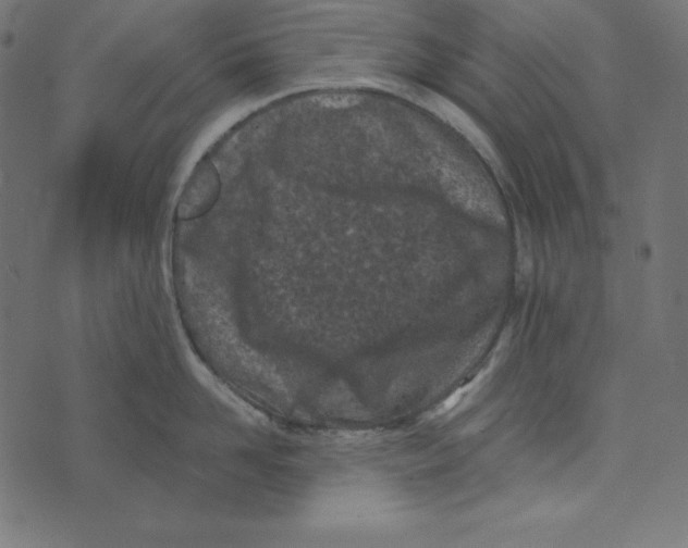 X0000072940958200608181338