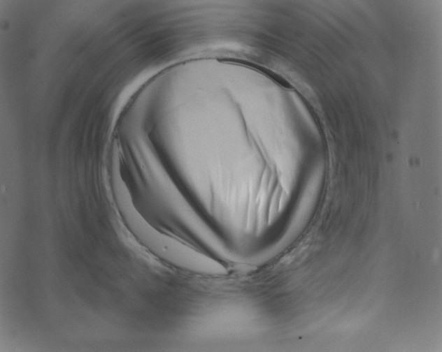 X0000072940960200608181338