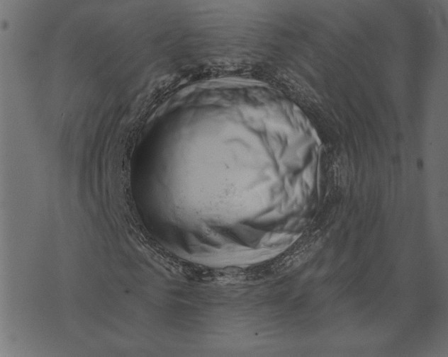 X0000072940961200608181337