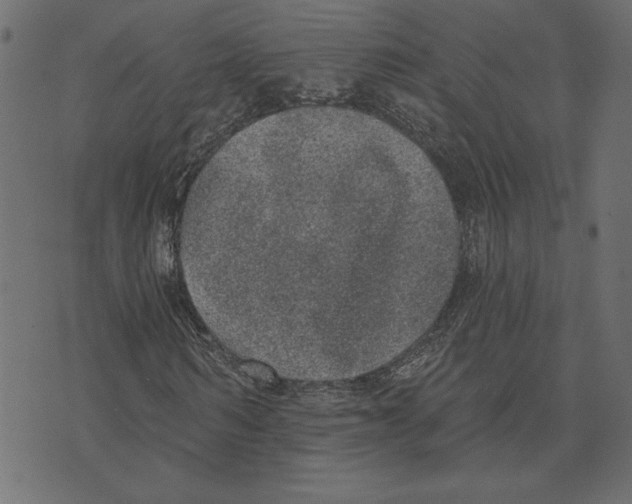 X0000072940962200608181337