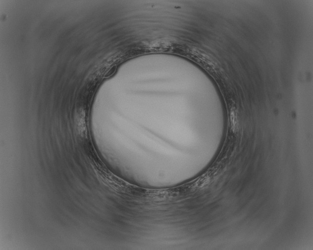 X0000072940963200608181337