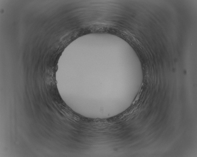 X0000072940964200608181337