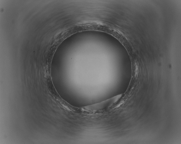 X0000072940965200608181337