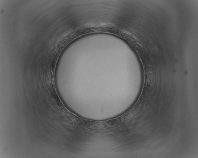 X0000072940966200608181337