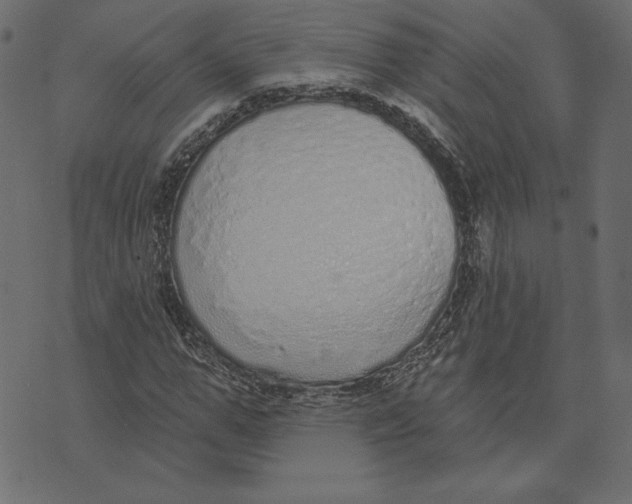 X0000072940967200608181337