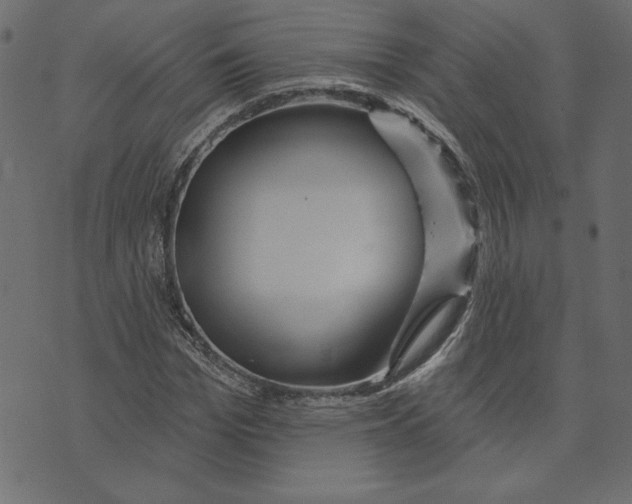 X0000072940969200608181337